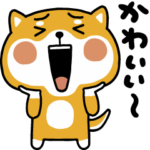 愉快な豆柴三郎