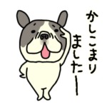 みんなのフレンチブルドッグ　犬の日2024