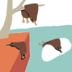 kiwi_2nd_life