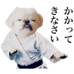 ムーチョの世界〝至〟