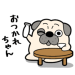 パグのおっちゃん2