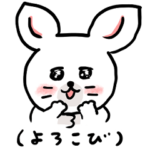 チンチラの世界