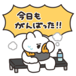 ジムに通ううさちゃん　その２