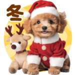 BIGで可愛い♡冬といぷー