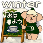 キュートなトイプードル ♡ ほっこり冬