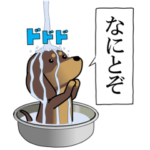 新・激しく尻尾をふるイヌ