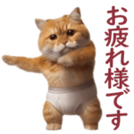 毒舌ブリーフ猫