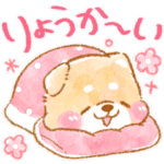お布団だいすき❤️いやしばいぬ❤️冬