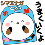 飛び出す！ポジティブなシマエナガ