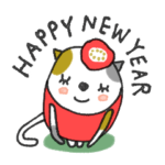 mottoの猫達♡日常と年末年始も（再）