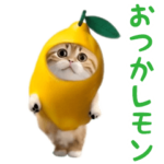 踊る！ダンス猫（ダジャレ）