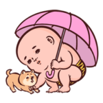 気さくな連中！にくそいいきもん