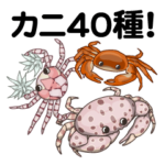 カニだらけ！