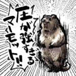 圧が強いマーモット