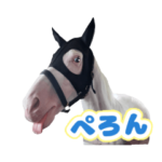 アオラキスタンプ