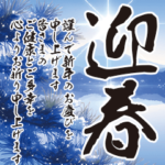 華やか大人のお正月/大きい2倍サイズ