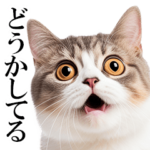 感情が顔に出てしまう猫