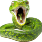 巨大文字☆ヘビの年末年始