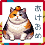 あけおめ三毛猫