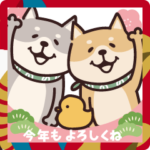 しばいぬ♡飛び出すお正月