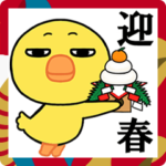 ヒヨコのお正月