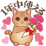 1年中毎日使える！可愛いリボンはぴきゃと