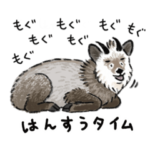 野生動物と観察スタンプ