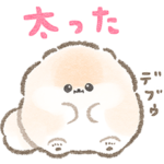 絶対に痩せたいポメラニアンぽぽち