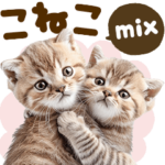 こねこmix