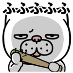 ちょっと敬語の目つきの悪い猫