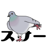 うごくかわいい鳩
