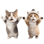 踊る！ダンス猫（敬語）