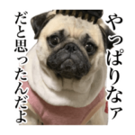 ファビュラス共和国第2弾