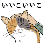 猫の菊ちゃんスタンプ