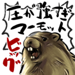 圧が強すぎマーモットBIG