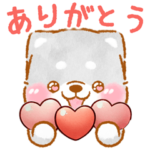 愛する人に感謝を送る❤️いやしばいぬ黒柴