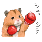 ハムスター助六の日常８