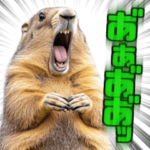 ひたすら声のデカいリアルなマーモット