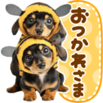 ダックスフント♡春日和