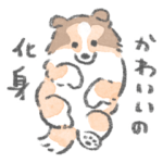 シェルティがいるから頑張れる