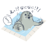 日常に添えるアザラシ