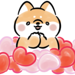 甘えたい犬2<赤柴>