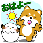 飛び出す！豆柴＆ぽっちゃりシマエナガ