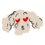 CHECK&STRIPE クルちゃんの日常