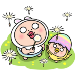 しろめちゃん・春の盛り合わせ