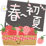 大人の気遣い♡33春〜初夏