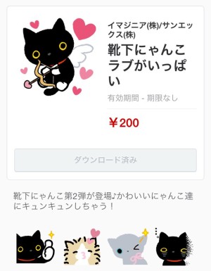 靴下にゃんこラブがいっぱい