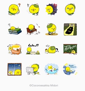 ドリー&ちゃっぴー