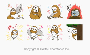 フク子さん（ハーバー）2014年7月14日まで