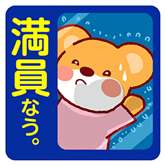 ガンバレ！たまくまちゃん